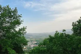 金莎晒自拍照活力满满 自己透露被00后搭讪图片