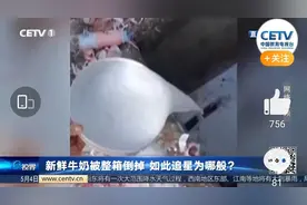 《青春有你3》为何被叫停：“倒奶风波”还是“余景天”？图片