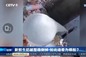 《青春有你3》为何被叫停：“倒奶风波”还是“余景天”？图片