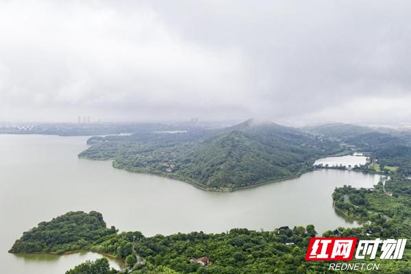 沉浸式品南湖①｜与“西湖”齐名的南湖，它的美你知多少