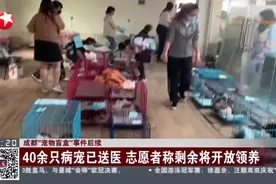 成都“宠物盲盒”事件后续：获救一百余只小猫小狗已被送往小动物照护基地寄养视频封面