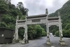 杭州发现豹子？拍摄者称与其相距两三米对视，网友：生态是真的好图片