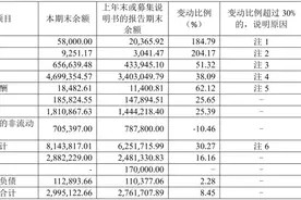 “养猪大王”刘永好疯狂进击地产，“千亿黑马”新希望路在何方？图片