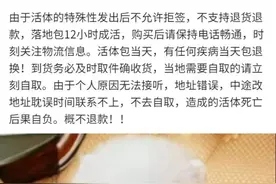 成都“宠物盲盒”憋死动物上热搜，多个网购平台仍在售图片