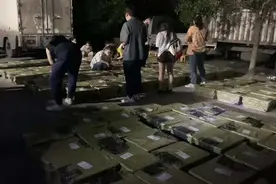 惊喜变“惊吓”！变味的“宠物盲盒”面临双重风险图片