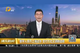数字人民币上海试水 支付方式又添新选择视频封面
