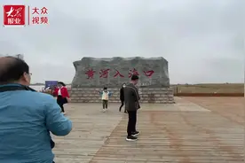 视频︱游黄河口生态旅游区之河海交汇图片
