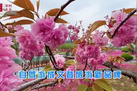 自驾游成文登旅游新品牌，带给游人“诗和远方”图片