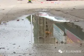 女子雨天路灯旁倒地身亡，街坊称附近一年前就疑有漏电图片