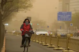 又来大风吹！怎么感觉今年大风这么多？图片
