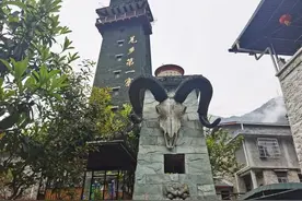 重访汶川特大地震极重灾区：鲜花怒放在昔日废墟之上图片