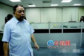 民进党的“黑+金”图片