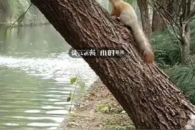 杭州一小区半夜频传神秘“歌声”，业主们崩溃投诉：还让不让人睡觉！谜底揭开竟是......图片