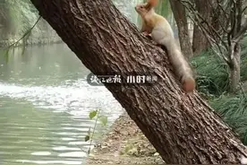 杭州一小区半夜频传神秘“歌声”，业主们崩溃投诉：还让不让人睡觉图片