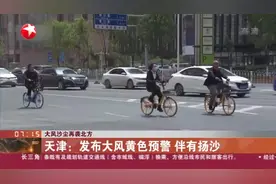 大风沙尘再袭北方：天津——发布大风黄色预警  伴有扬沙视频封面