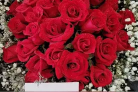 漂亮姐姐人间蒸发！15年后被杭州“寻人总司令”找到！背后原因让人唏嘘不已……图片