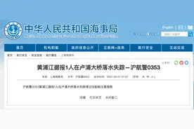 上海海事局：黄浦江据报1人在卢浦大桥落水失踪图片