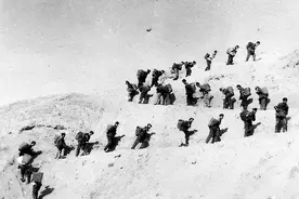 兰州人创造的奇迹 背冰上山栽活白塔山上第一批树苗图片