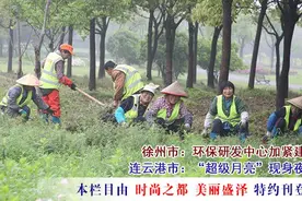 江苏24小时·滚动推送丨无锡市：环卫工湿地除草图片