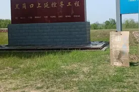 60多亩蒜薹免费送的消息引发全城关注 一天内有300多人到田里抽蒜薹助农图片