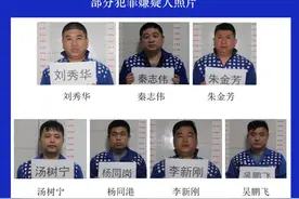 滨州打掉一黑恶势力团伙14人被抓 现征集犯罪线索图片