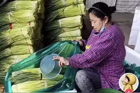 蒜苔上喷洒“神秘液体”，网友疑惑：这是加了什么药？图片