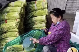 蒜苔上喷洒“神秘液体”，网友疑惑：这是加了什么药？图片