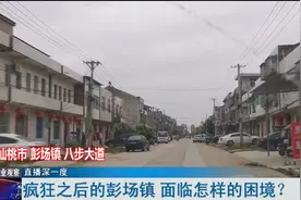 一炮而红！员工曾月入5万！湖北这个小镇将如何转型？图片