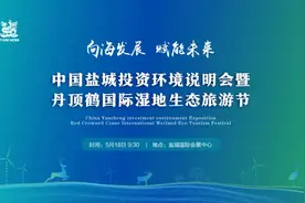 518，盐城盛会！“旅游节”福利多多，湿地之都等你来约！图片