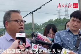 袁隆平曾到访，阳江这片农业园区每年推新优品种400多个｜小南叹高速图片