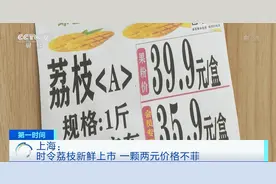 上市了！荔枝，一颗就要2块钱图片