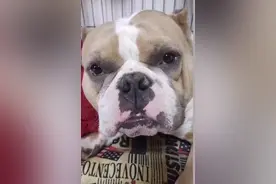 事发大连，女子已报警：你们都被拍下来了，快还给我图片