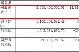 比协议利润低143亿！华夏幸福对赌平安资管出结果图片
