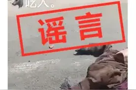 网传张家口出现狼吃人？回应来了图片