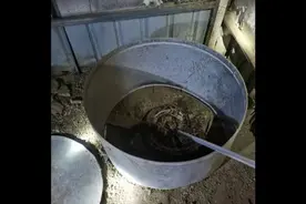 可怕！一条50斤大蟒蛇闯入河源一居民家中图片