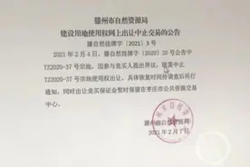 亿元网上竞拍得土地两天后遭中止转让 山东滕州自然资源局：交易系统出现故障图片
