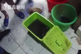 男子捉了3只青蛙被刑拘？警方：系虎纹蛙图片