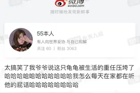女网友家中摆玳瑁作充电座？专家：系玳瑁标本，私藏涉嫌违法图片