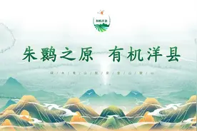 洋县枣糕馍标准化生产线建成了，日产5000个！图片