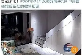 美驻华使馆为将申请签证中国学生比作“想出去玩耍的狗”道歉，网友一针见血指出破绽图片