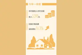 农民收入保持稳定增长态势图片