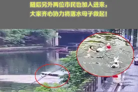 大爷小伙勇救失控坠河车内母子：不救会内疚一辈子图片