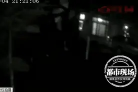 黑龙江一大黄狗发狂，连咬两人，这怎么办？图片