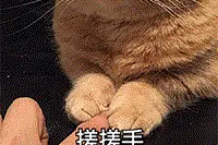 早报超有料丨《2哥来了怎么办》胡先煦邓恩熙智斗2哥 毛晓彤杨玏合体发布大片图片