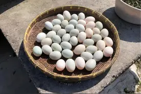 松江农家“老法”腌咸鸭蛋，个个起沙流油，比买的还好吃图片