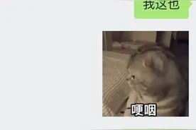 密密麻麻！广东突现大量飞虫，江门也有！专家提醒图片