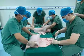 “为烧伤病人移植猪皮”引热议，医院回应：救治费用仅需几千元图片