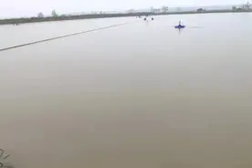 两天解决难题，肥水变简单了图片