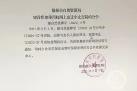 亿元网上竞拍得土地两天后遭中止转让 山东藤州自然资源局回应图片