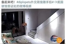 将中国留学生比作“狗”？被骂删帖后，美国驻华大使馆道歉了图片